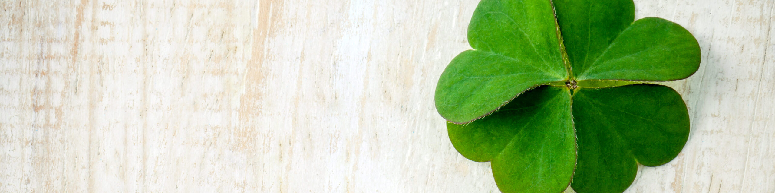 Clovers,Leaves,On,Shabby,Wooden,Background.,The,Symbolic,Of,Four